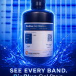 BioBlue™ Protein Gel Stain (PGS, A-0025)