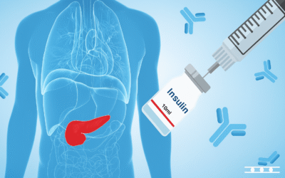 ITSIBio News Vol 1.03 March 2025: Autoantibodies in Diabetes Research
