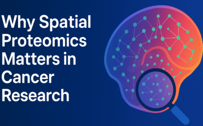ITSIBio News Vol 1.07 July 2025: Spatial Proteomics Can Help Your Cancer Research