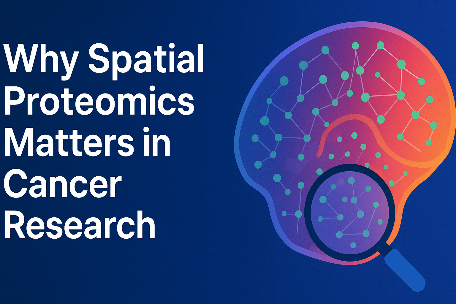 ITSIBio News Vol 1.07 July 2025: Spatial Proteomics Can Help Your ...