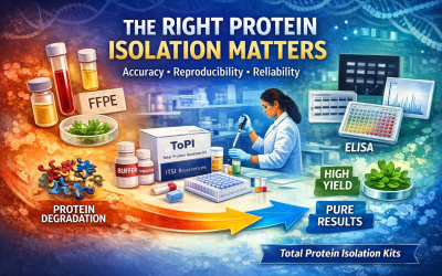 ITSIBio News Vol 1.10 October 2025: Why Using the Right Protocol and Buffers for Protein Isolation is Critical in Biomedical Research